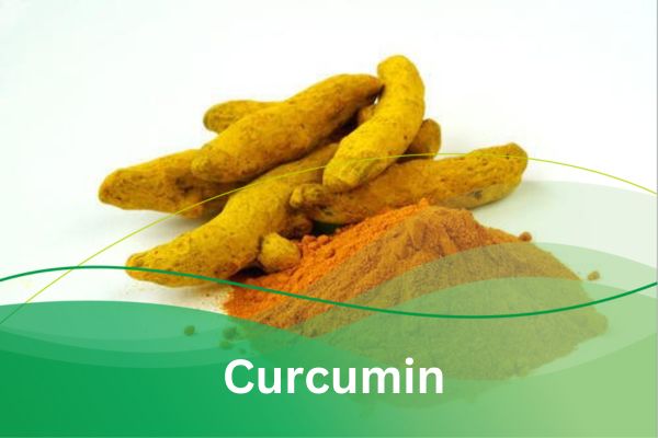 Curcumin: The Amazing Science Behind The Indian Spice